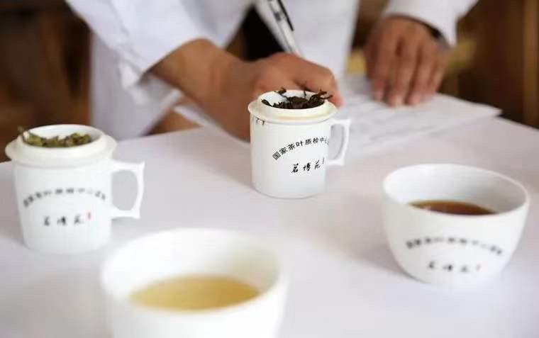 中國茶藝師專業培訓證書課程